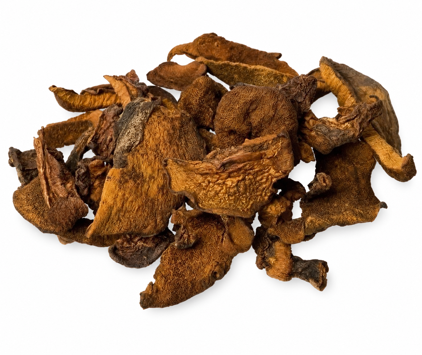 Boletus luteus deshidratado sobre fondo blanco